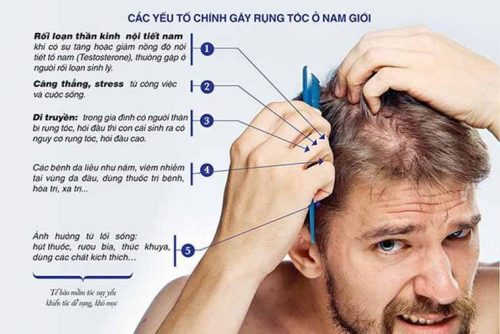 Một số nguyên nhân gây rụng tóc, hói đầu ở nam giới